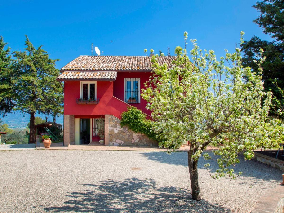 Holiday Home La Letizia By Interhome Collemancio Eksteriør billede